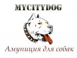 - mycitydog.ru,   Mycitydog.ru         .  - Mycitydog.ru         , ,    .                  .